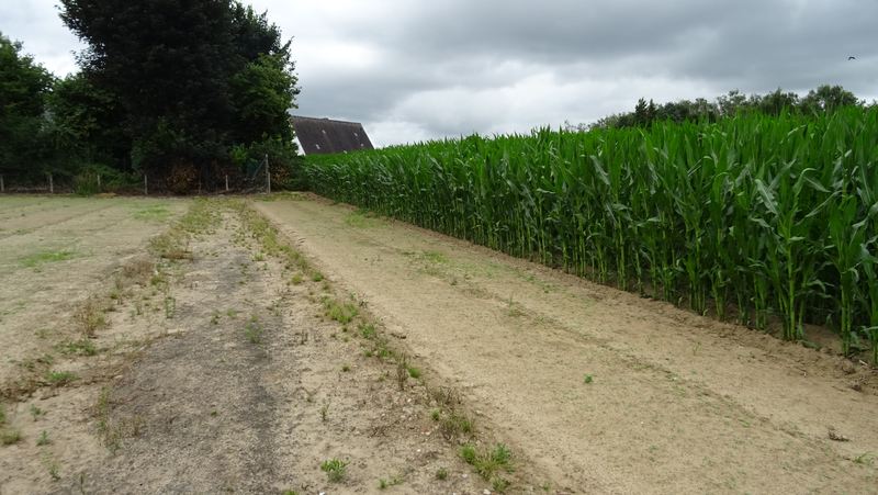 voetweg