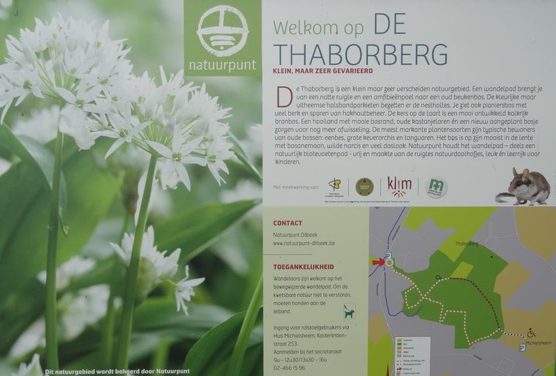 voetweg
