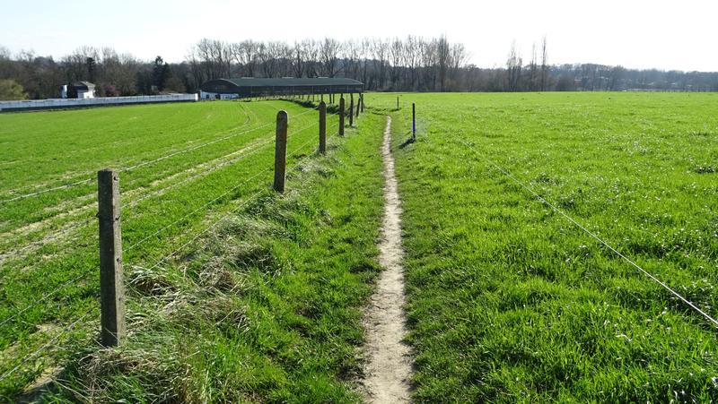voetweg