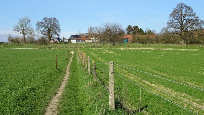 voetweg