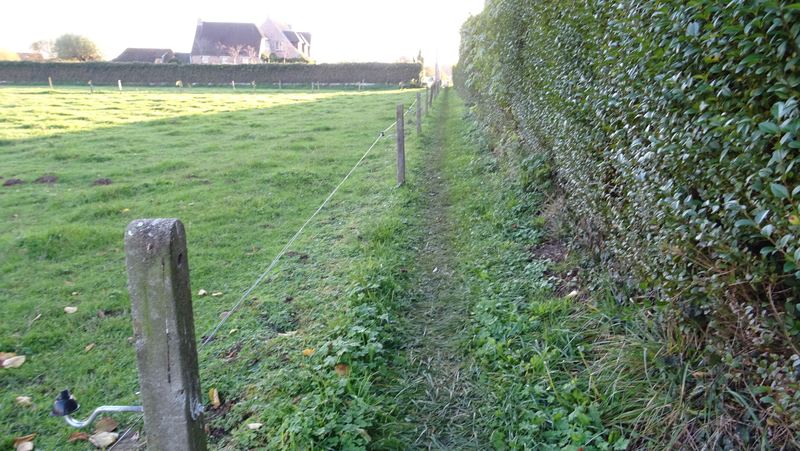 voetweg