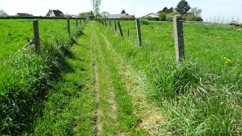 voetweg