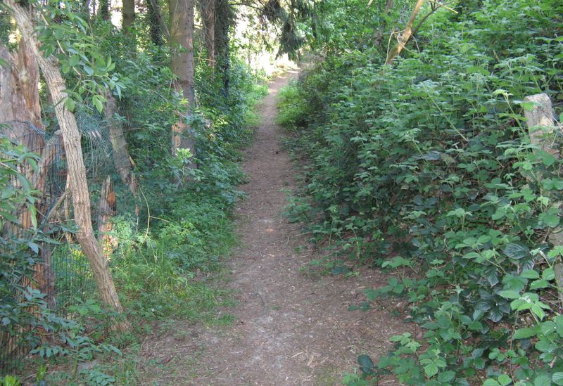 voetweg
