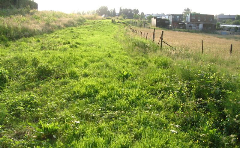 voetweg