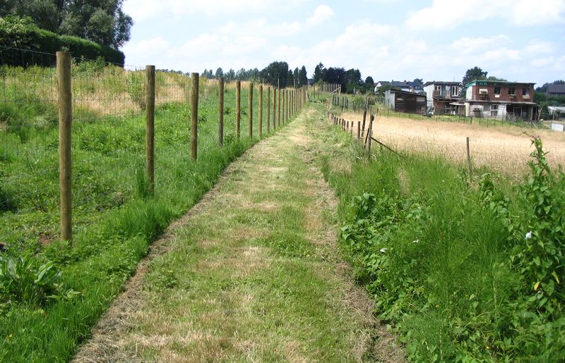 voetweg