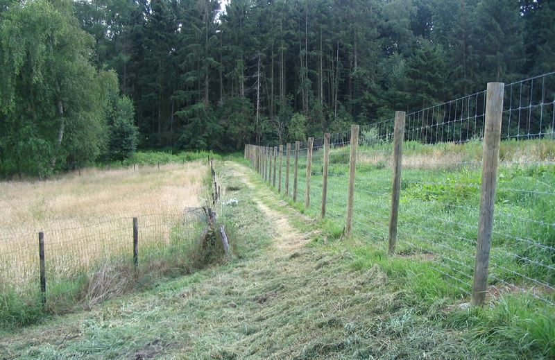 voetweg