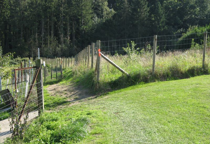 voetweg