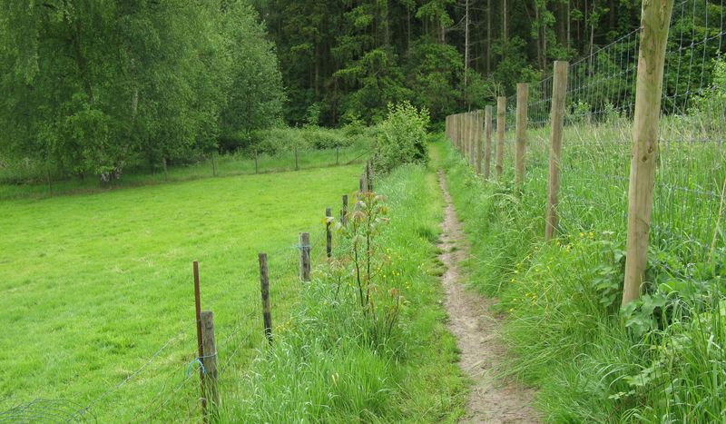voetweg