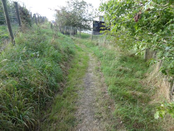 voetweg
