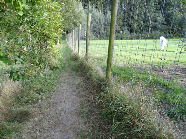 voetweg
