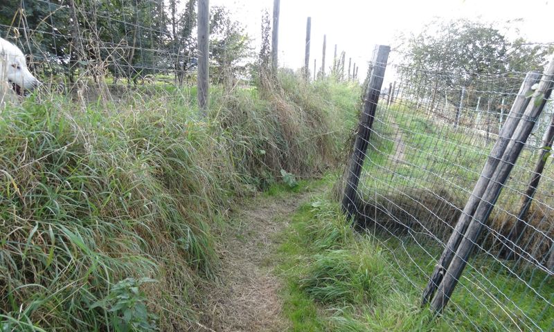 voetweg
