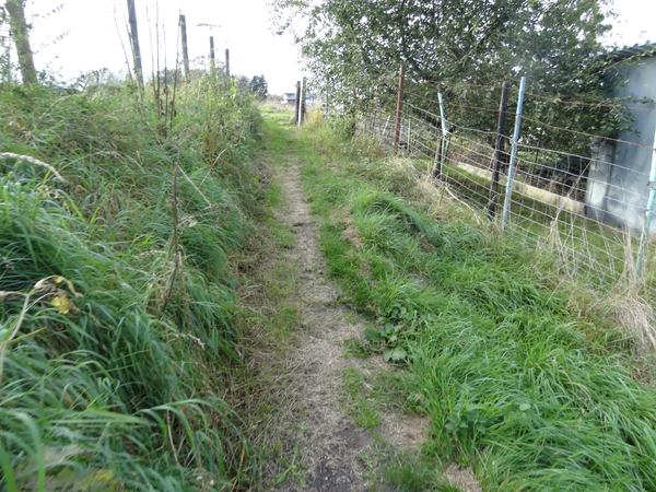 voetweg