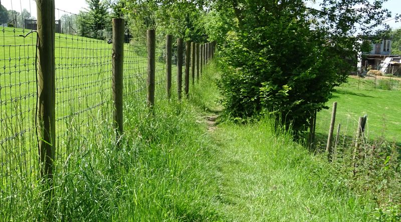 voetweg