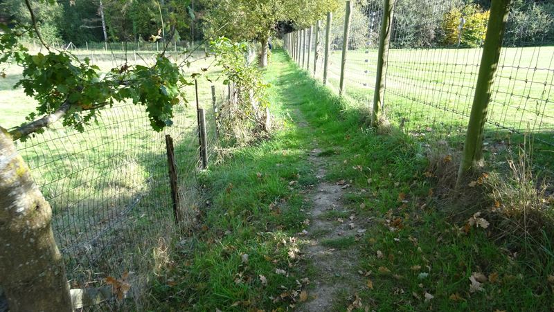 voetweg