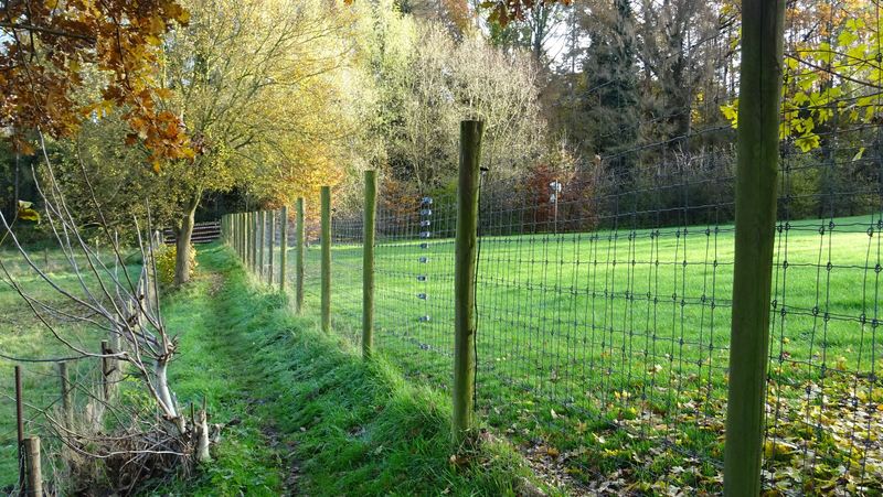 voetweg