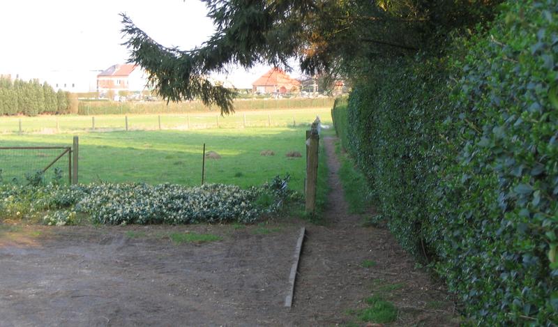 voetweg