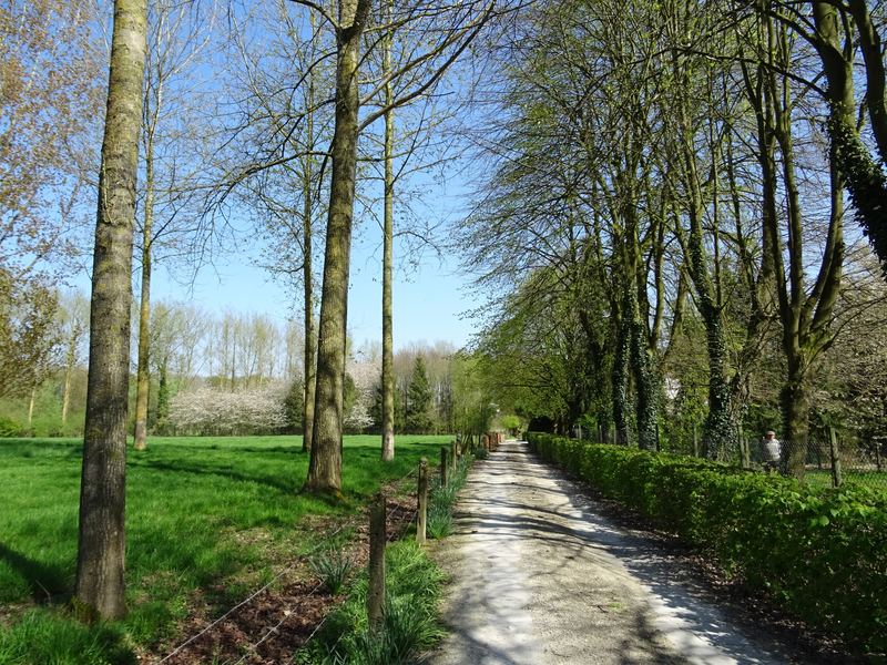 voetweg