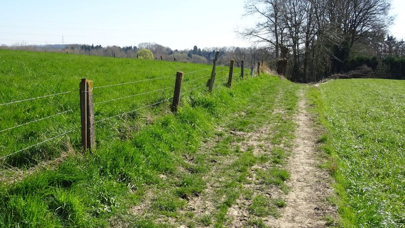 voetweg
