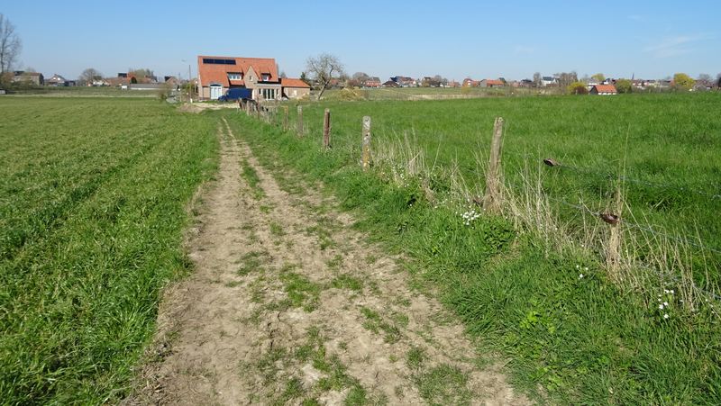 voetweg