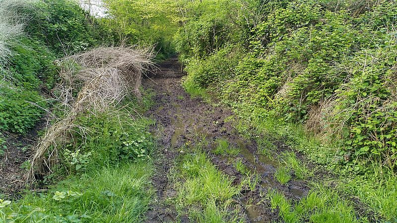 voetweg