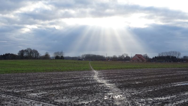 voetweg