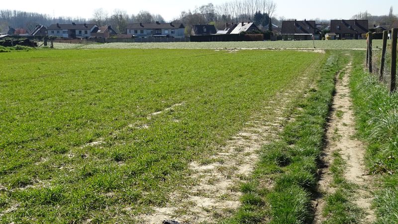 voetweg