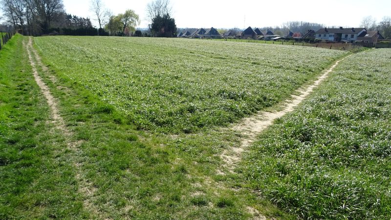 voetweg