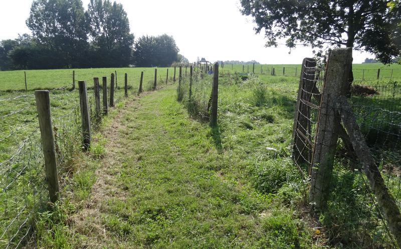 voetweg