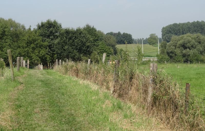 voetweg