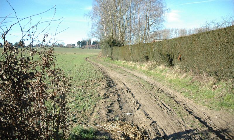 voetweg
