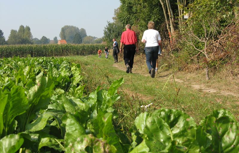 voetweg