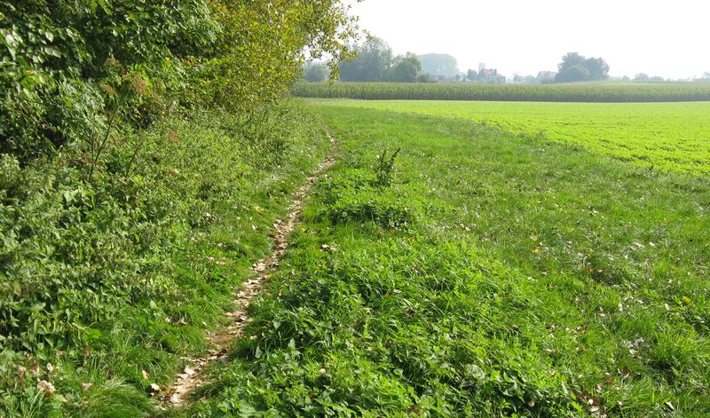voetweg