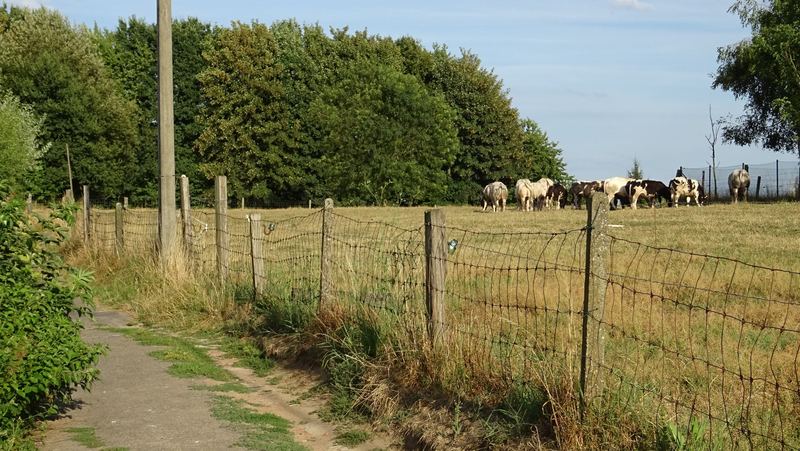 voetweg