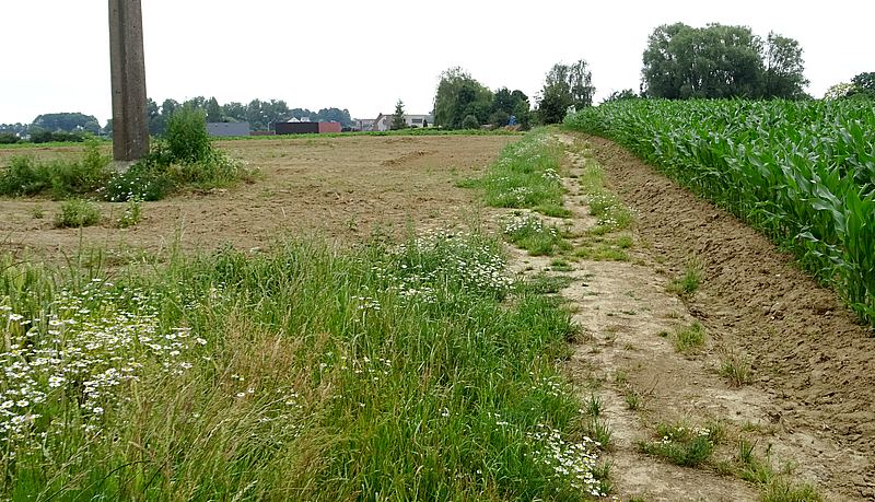 voetweg