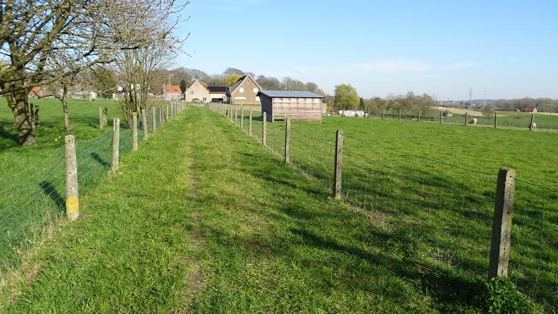 voetweg