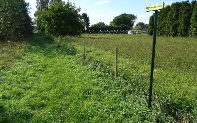 voetweg
