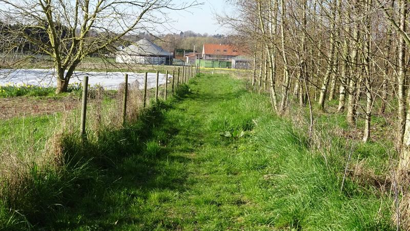 voetweg