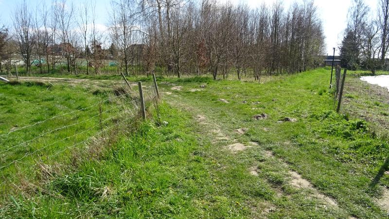 voetweg